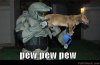 funny-pictures-halo-dog-pew_5AB_PakWheels(com).jpg