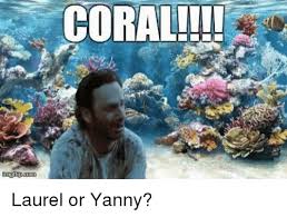 coral.jpeg