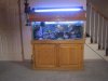 75g tank 009.jpg