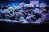 120 Gallon Tank.jpg