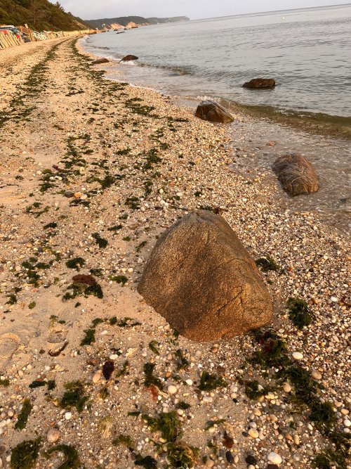 Rocky beach.JPG