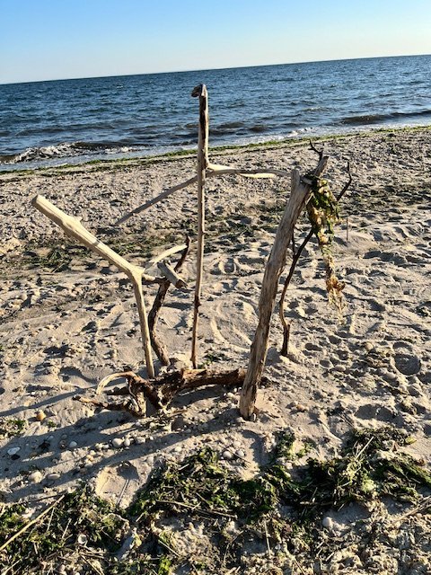Sticks on beach.jpg