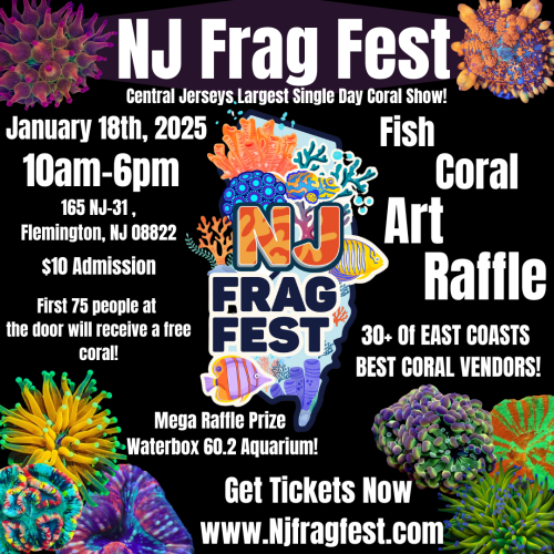 NJ Frag Fest.PNG