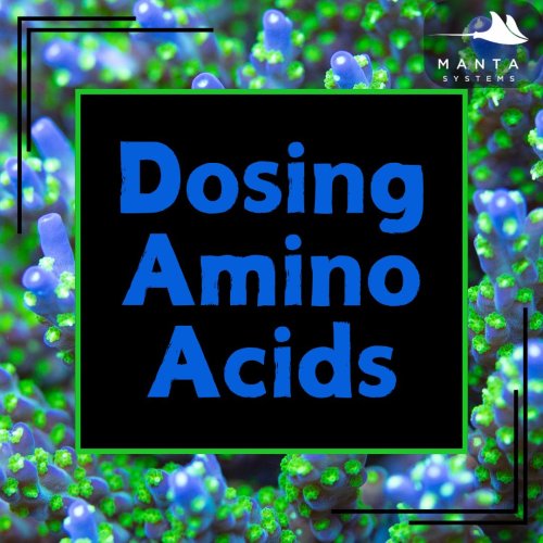 Amino Acids.jpg